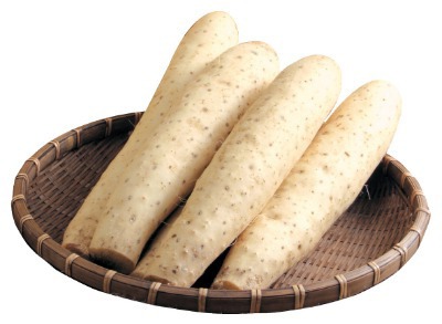 自然寿長いも