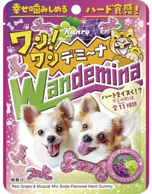 ワンワンデミーナグミ