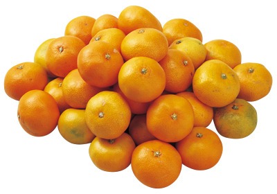 Ms.Sweet 極早生みかん