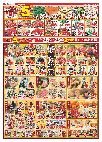 チラシ画像 2225-1