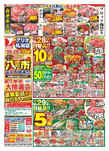 チラシ画像 2228-0