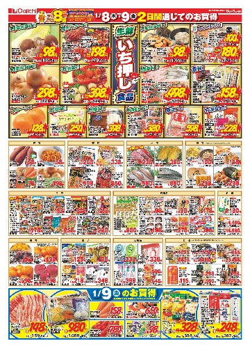 チラシ画像 2253-1