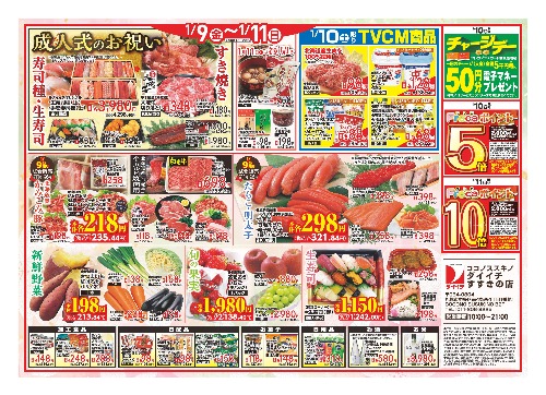 チラシ画像 2254-1