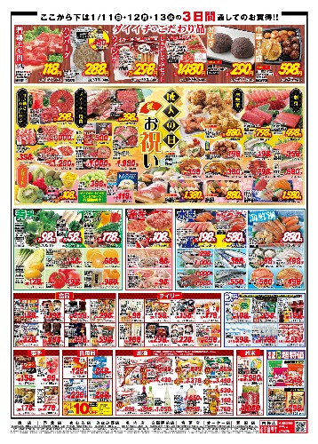 チラシ画像 2259-1