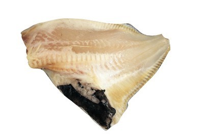 まとうだい半身