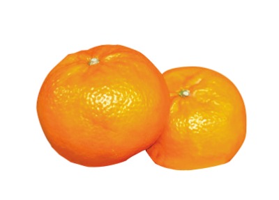 蒲郡麗紅(Lサイズ)