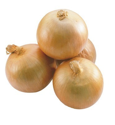 ミネラル育ちの厳選玉ねぎ