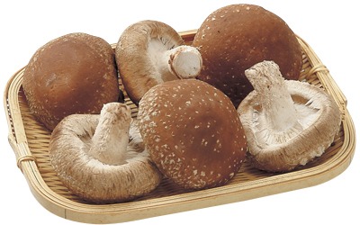 生しいたけ(菌床)