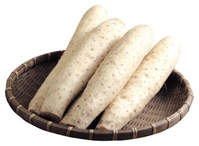 十勝川西長いも