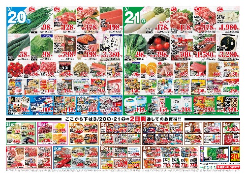 チラシ画像 2442-1