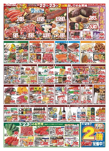 チラシ画像 2450-1