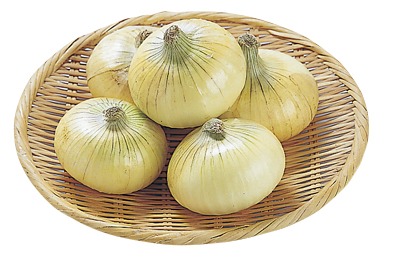 新玉ねぎ