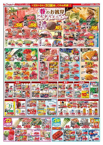 チラシ画像 2452-1