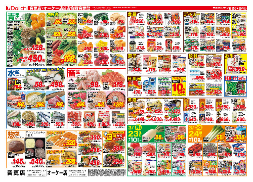 チラシ画像 2453-1