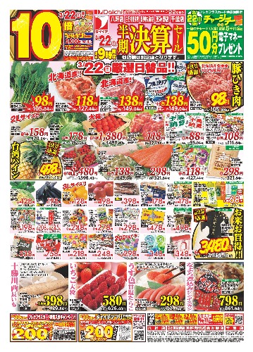 チラシ画像 2455-0