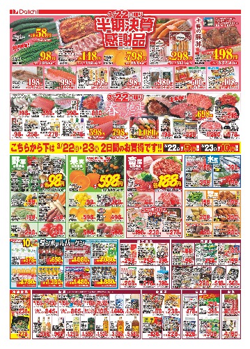 チラシ画像 2455-1