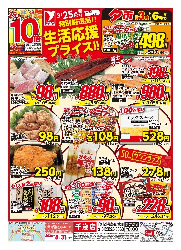 チラシ画像 2459-1