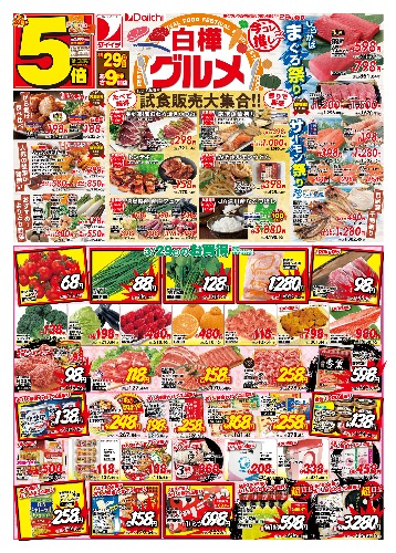 チラシ画像 2466-0