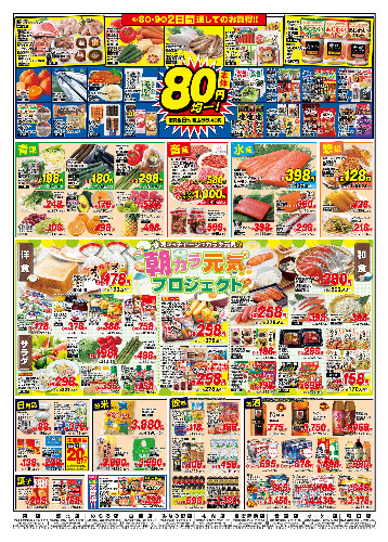 チラシ画像 2489-1