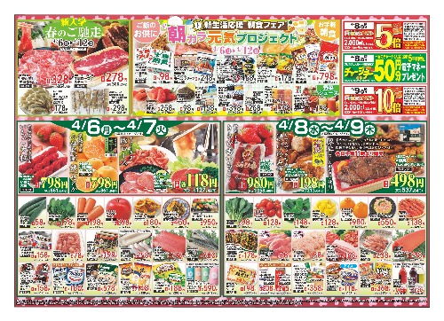 チラシ画像 2491-0