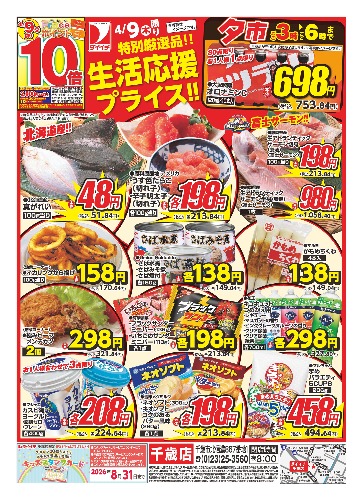 チラシ画像 2495-1