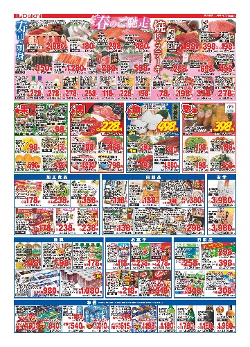 チラシ画像 2497-1