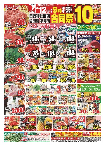 チラシ画像 2499-0