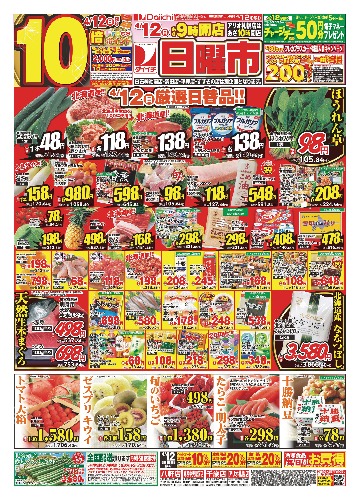 チラシ画像 2501-0