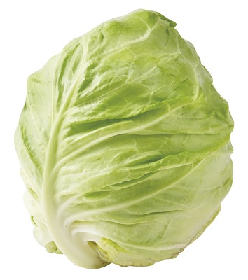 春キャベツ