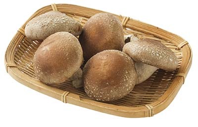 生しいたけ(極)〈菌床〉