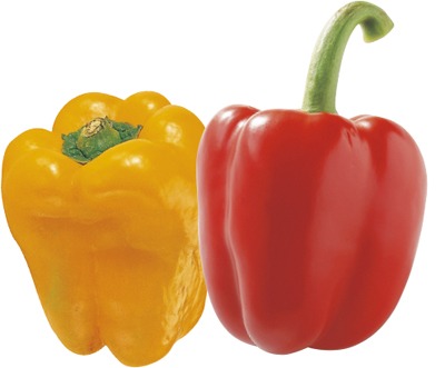 パプリカ各色