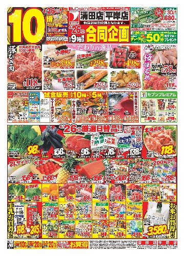 チラシ画像 2545-0