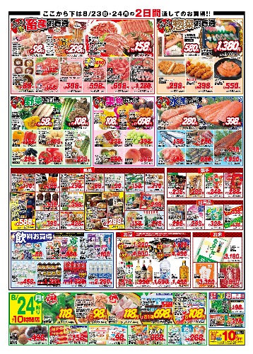 チラシ画像 2839-1