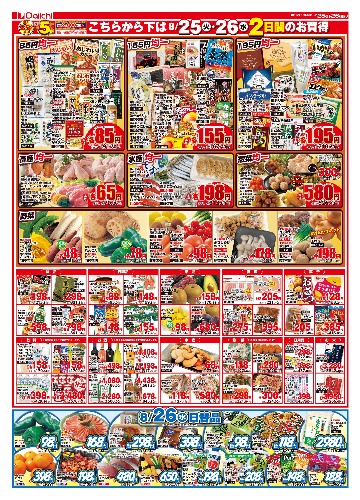 チラシ画像 2843-1