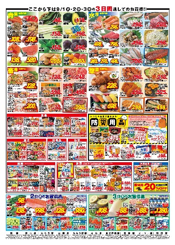チラシ画像 2856-1