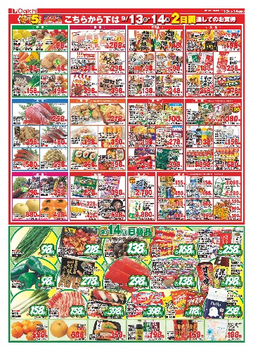 チラシ画像 2888-1