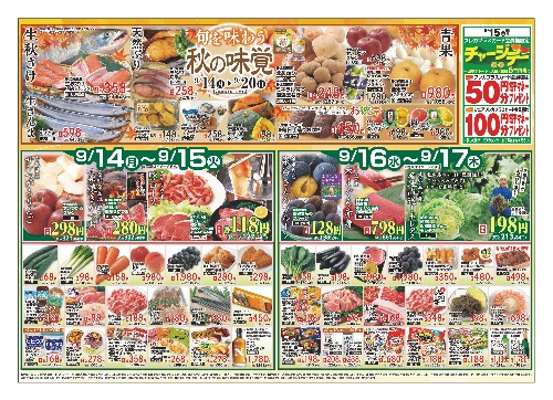 チラシ画像 2889-0