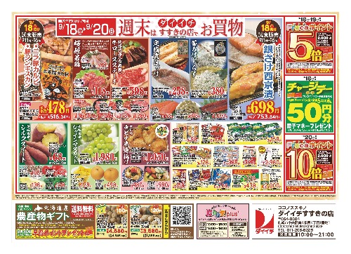 チラシ画像 2889-1