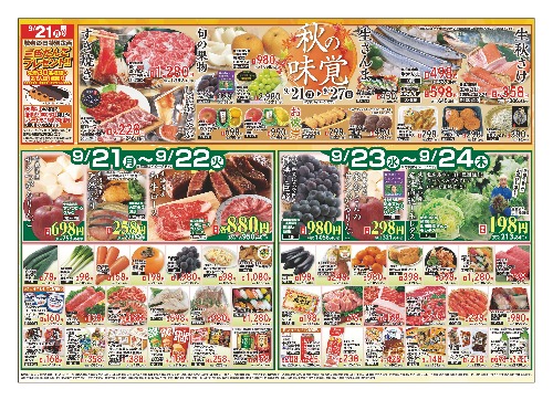 チラシ画像 2906-0