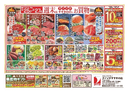 チラシ画像 2906-1