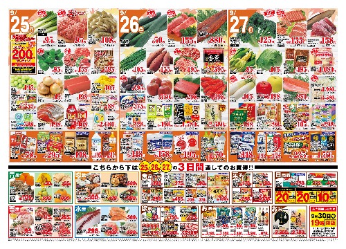 チラシ画像 2910-1