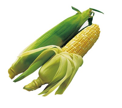 とうもろこし