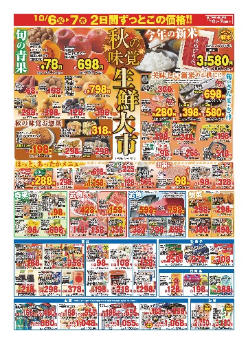 チラシ画像 2939-1