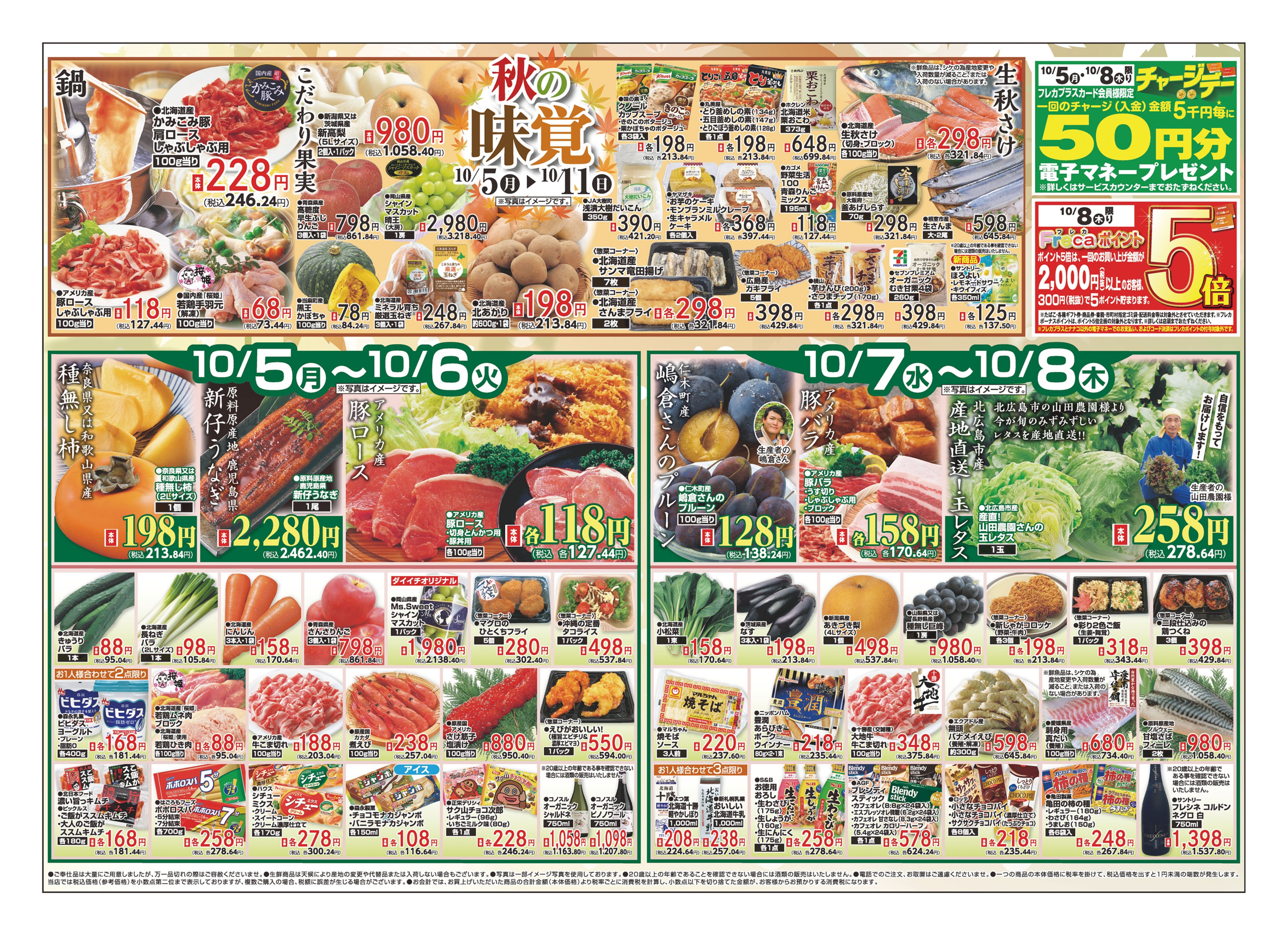 チラシ画像 0