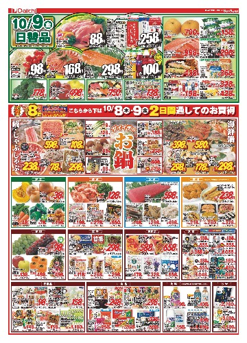 チラシ画像 2942-1