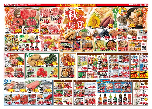 チラシ画像 2950-1
