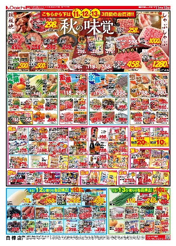 チラシ画像 2952-1