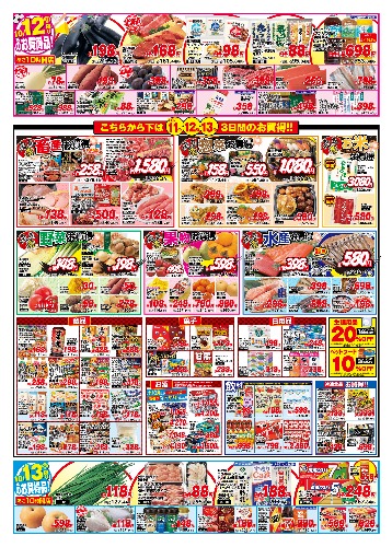 チラシ画像 2953-1