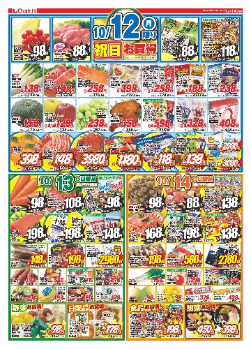 チラシ画像 2954-1