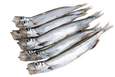 干カラフトししゃも(子持ち)